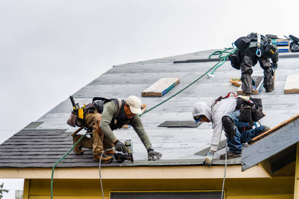 Professional Gutter Installation technician working in Edgar, WI